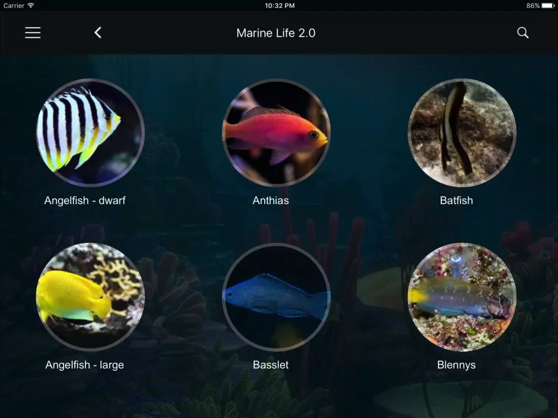 صور Marine Life Lite iPad 