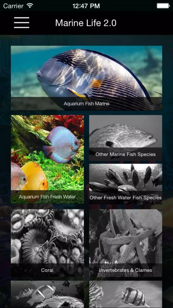 صور Marine Life Lite