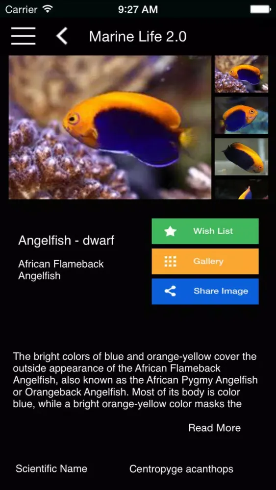 صور Marine Life Lite