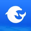 海豚找人