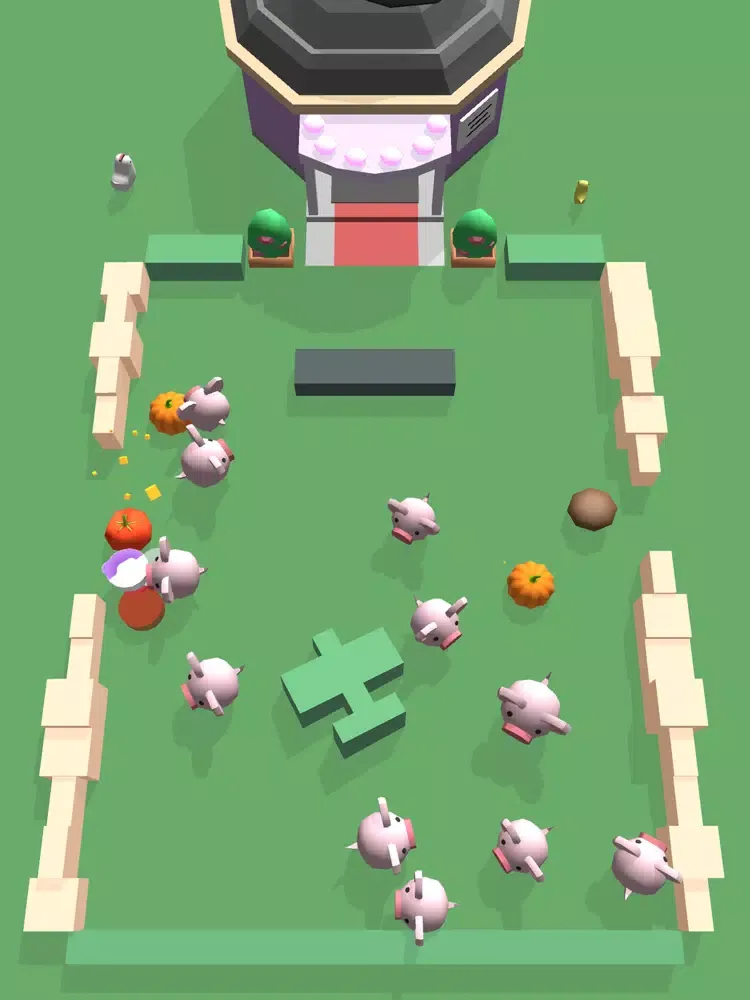 تصاویر Pig Home iPad 