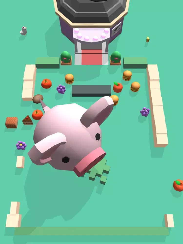 تصاویر Pig Home iPad 