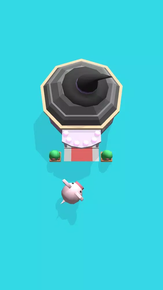 تصاویر Pig Home