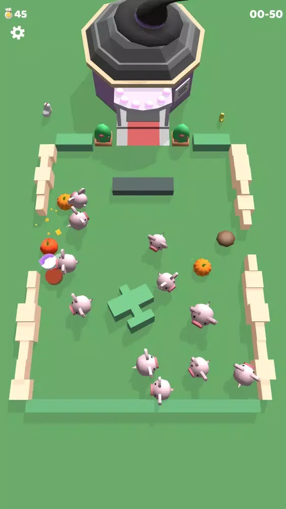 تصاویر Pig Home