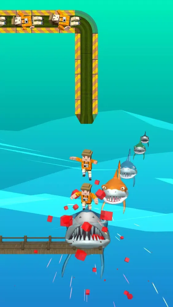صور Play Shark
