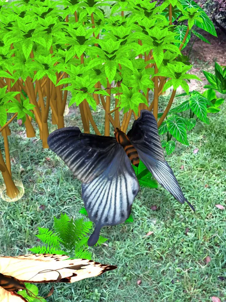 Capturas de tela do Butterfly Manager iPad 