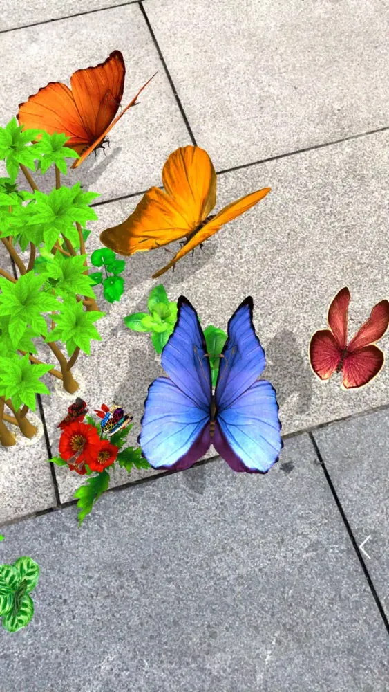 Capturas de tela do Butterfly Manager