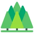 Tranquil Forest