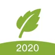 SGreen - speed faster SGreen - speed faster