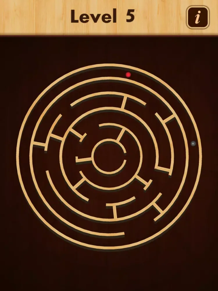 Mazes And Balls iPad 應用截圖