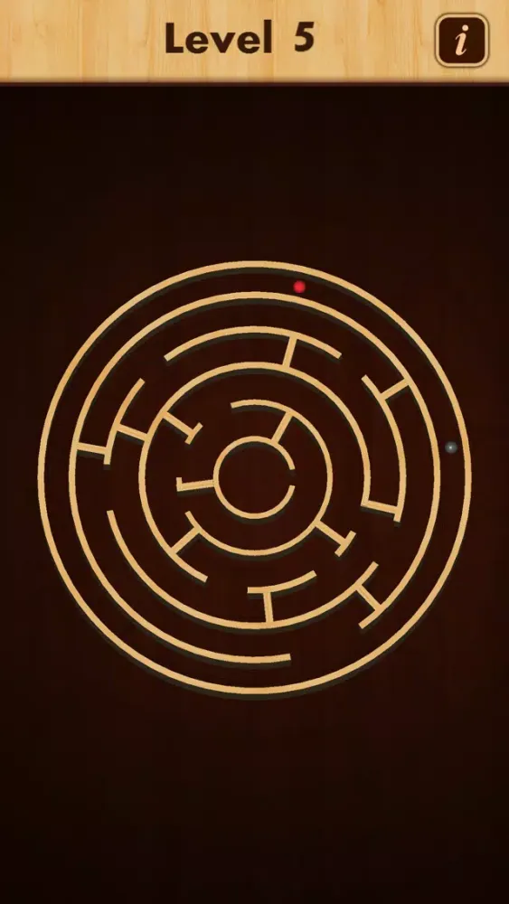 Mazes And Balls應用截圖