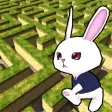 Rabbit explore the 3D maze!!
