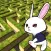 Rabbit explore the 3D maze!!
