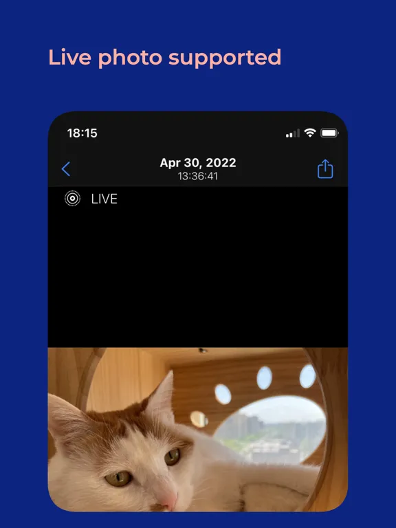 Captures d'écran de Cat Moments iPad 
