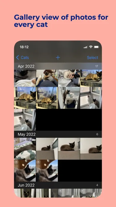 Captures d'écran de Cat Moments