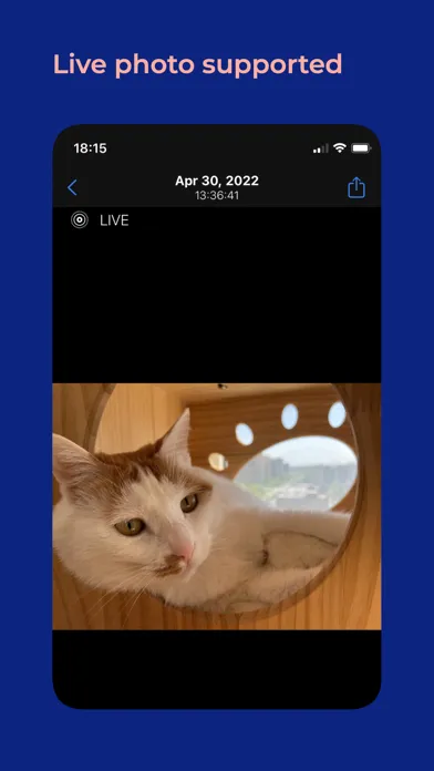 Captures d'écran de Cat Moments