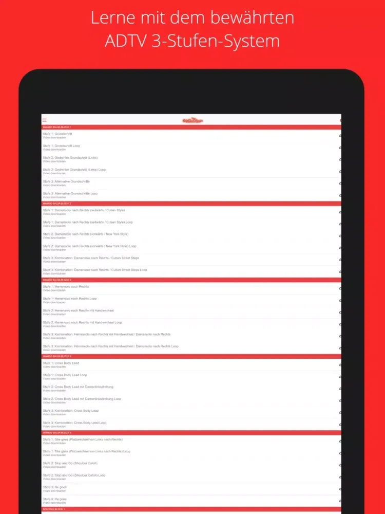 Tanzkurs Salsa & Bachata iPad  스크린샷