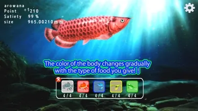 Arowana raising from fry Screenshots