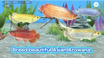 My Asian arowana Aquarium應用截圖