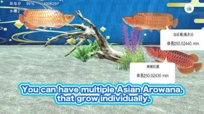 My Asian arowana Aquarium應用截圖