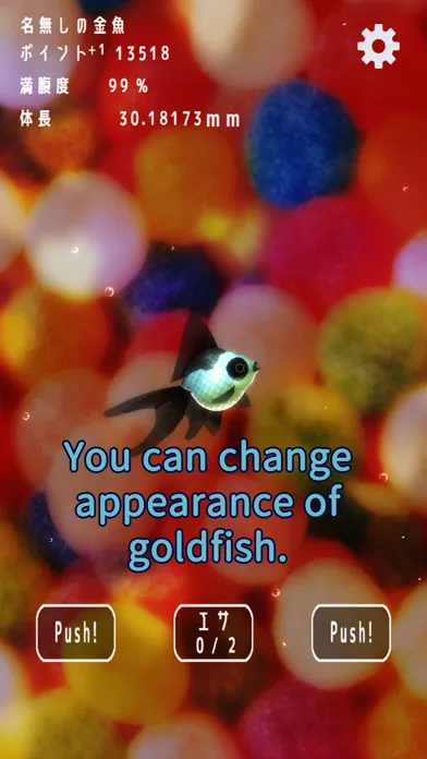 صور Goldfish Collection.
