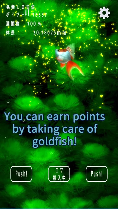 صور Goldfish Collection.