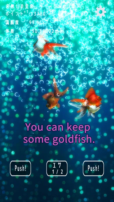 صور Goldfish Collection.