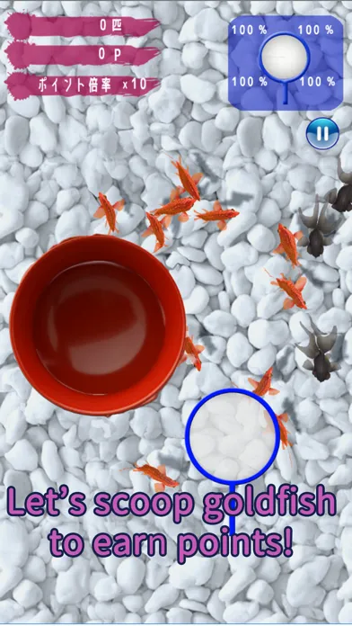 صور Goldfish Collection.