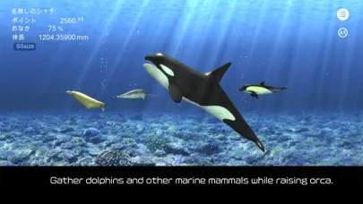 Orca  and marine mammals স্ক্রিনশট