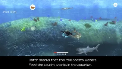 Orca  and marine mammals স্ক্রিনশট
