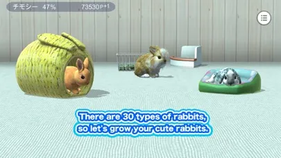 تصاویر My Rabbit Room