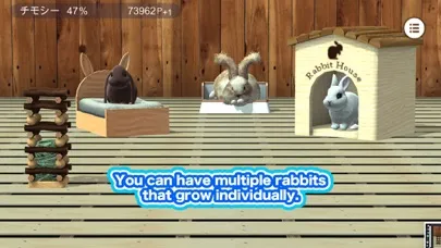 تصاویر My Rabbit Room