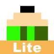 PicoEDITOR Lite PicoEDITOR Lite