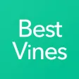 Best Vines