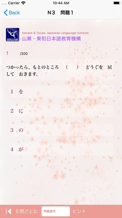 Capturas de tela do N3-文法問題集