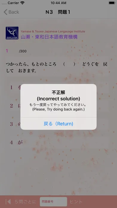 Capturas de tela do N3-文法問題集