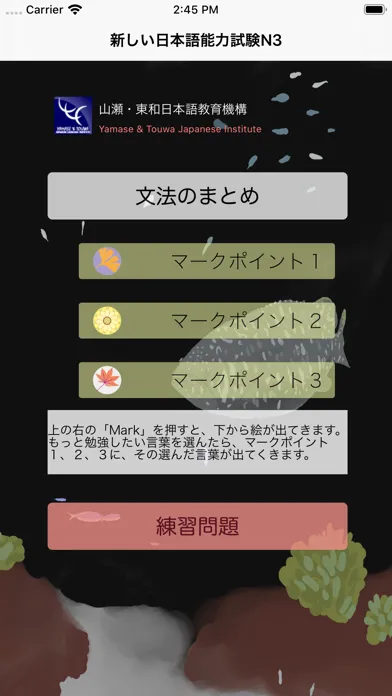 Zrzuty ekranu JLPT N3 文法のまとめ