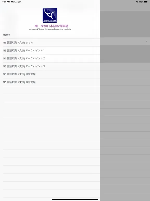 N5 文法のまとめ・練習 iPad  स्क्रीनशॉट