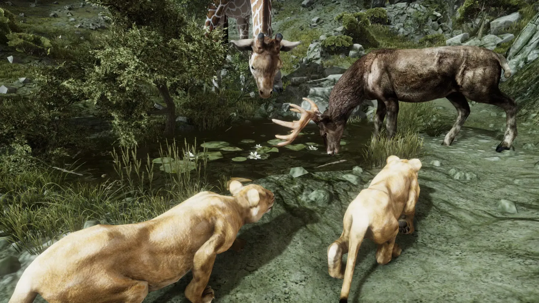 Ultimate Lioness Simulator Screenshots
