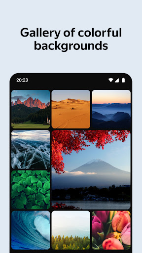 Yandex Browser with Protectzrzuty ekranu aplikacji4