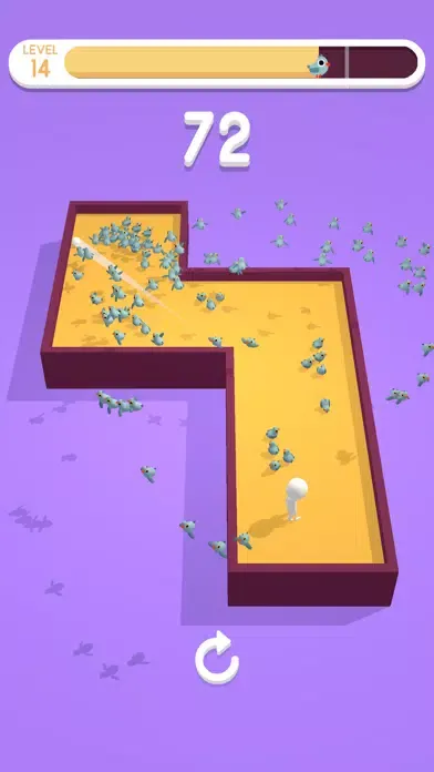 تصاویر 99 Pigeons