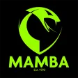 Mamba