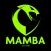Mamba
