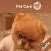 Pet Training & Care Guide