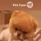 Pet Training & Care Guide