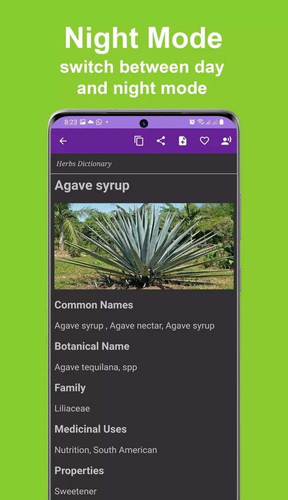 Ảnh chụp màn hình của Herbs Dictionary