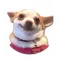 Dogs Crazy Stickers