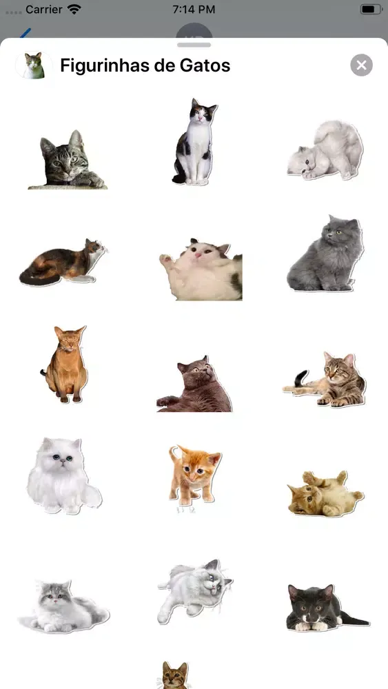Captures d'écran de Figurinhas de Gatos