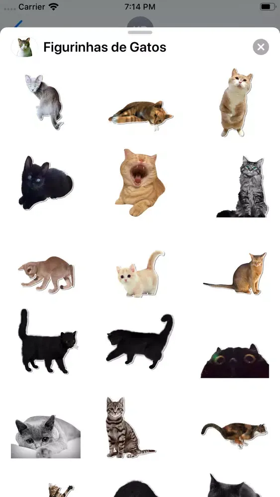 Captures d'écran de Figurinhas de Gatos