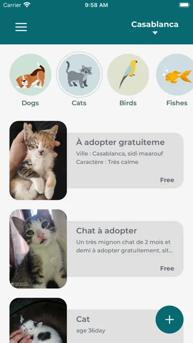 Ảnh chụp màn hình của Happy Pet: Adoption Coupling